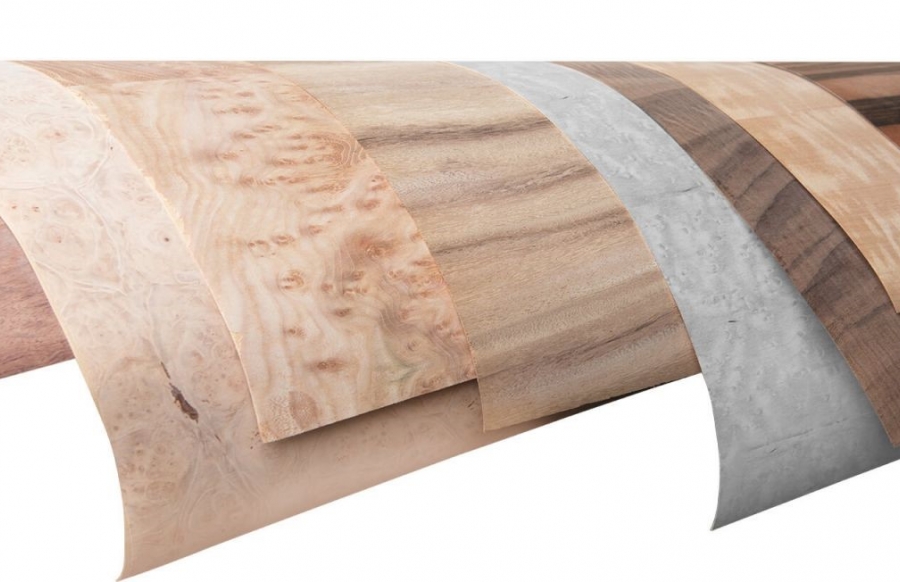 ECO VENEER – VẬT LIỆU KẾT HỢP VỚI CỬA THÉP CHỐNG CHÁY HOÀN HẢO 